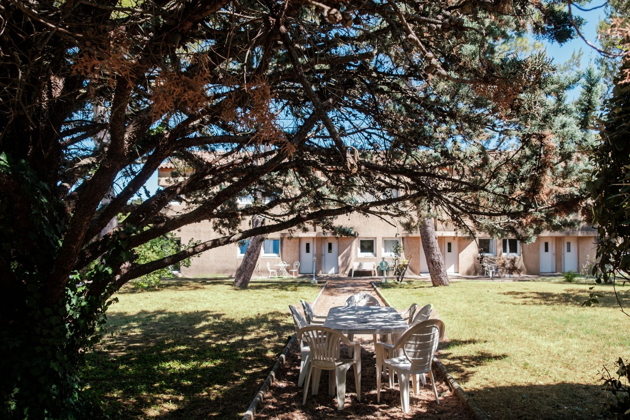 Parc arboré