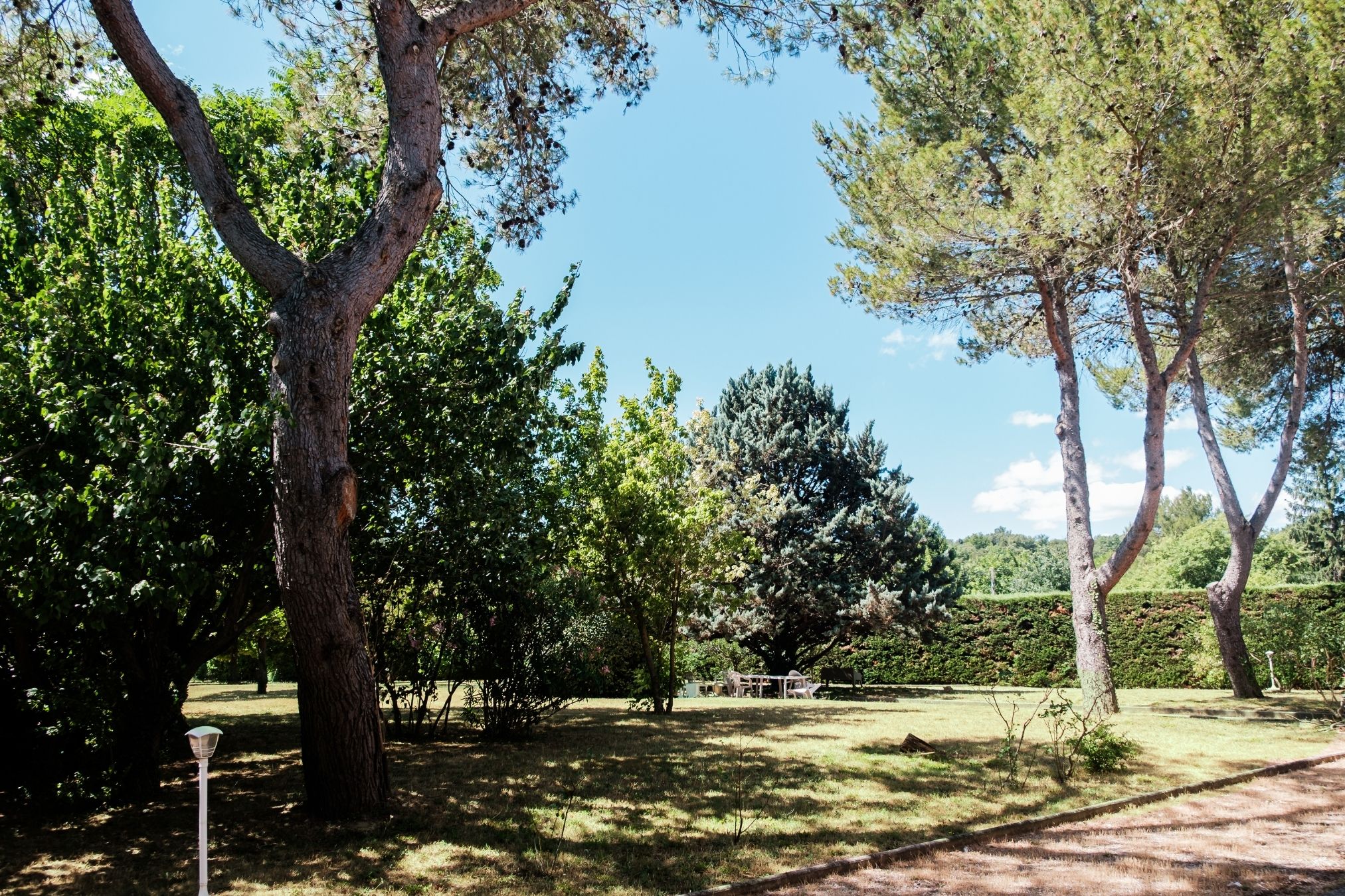 Parc arboré
