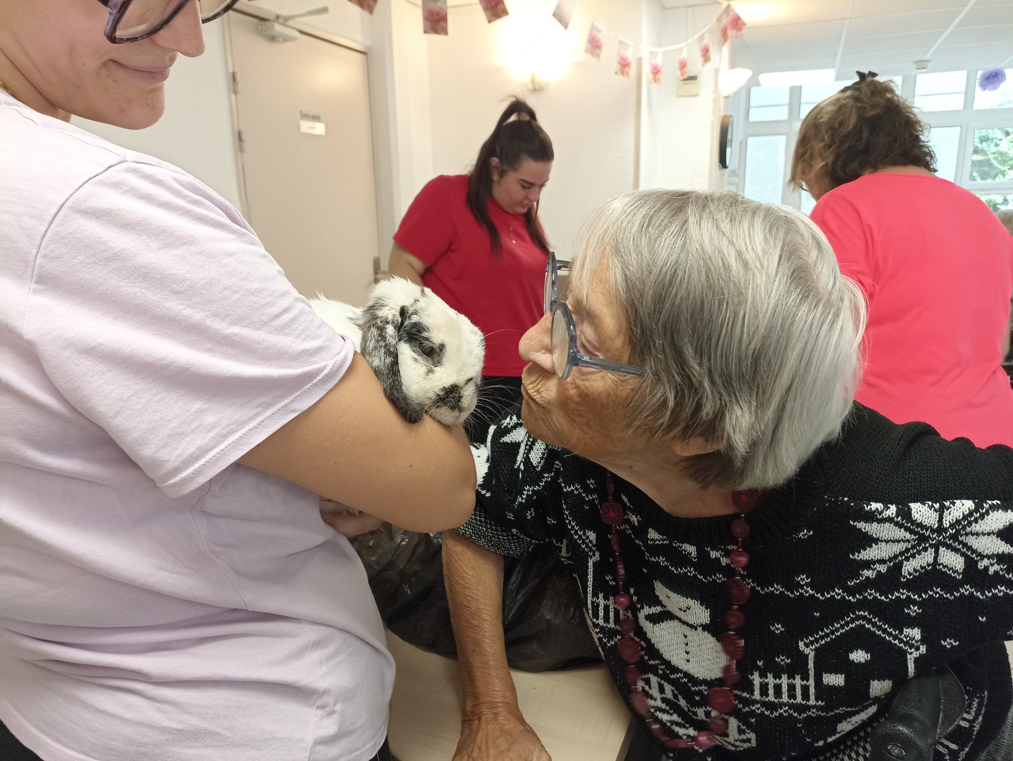 Animation avec les animaux