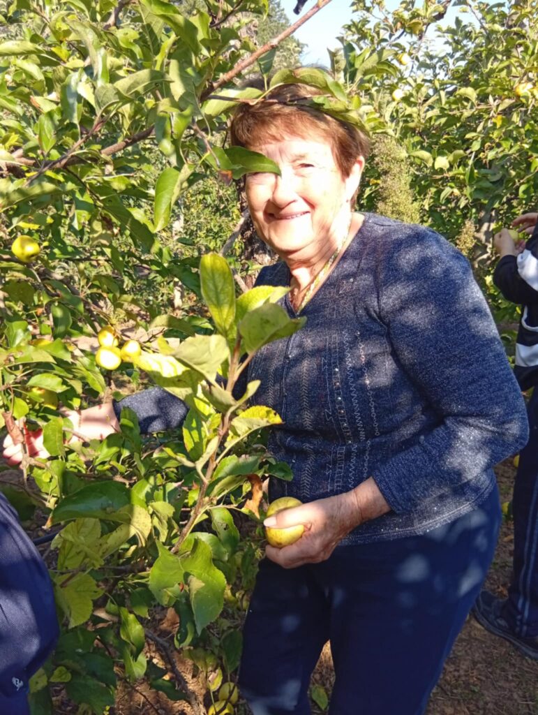 maison de retraite vidauban